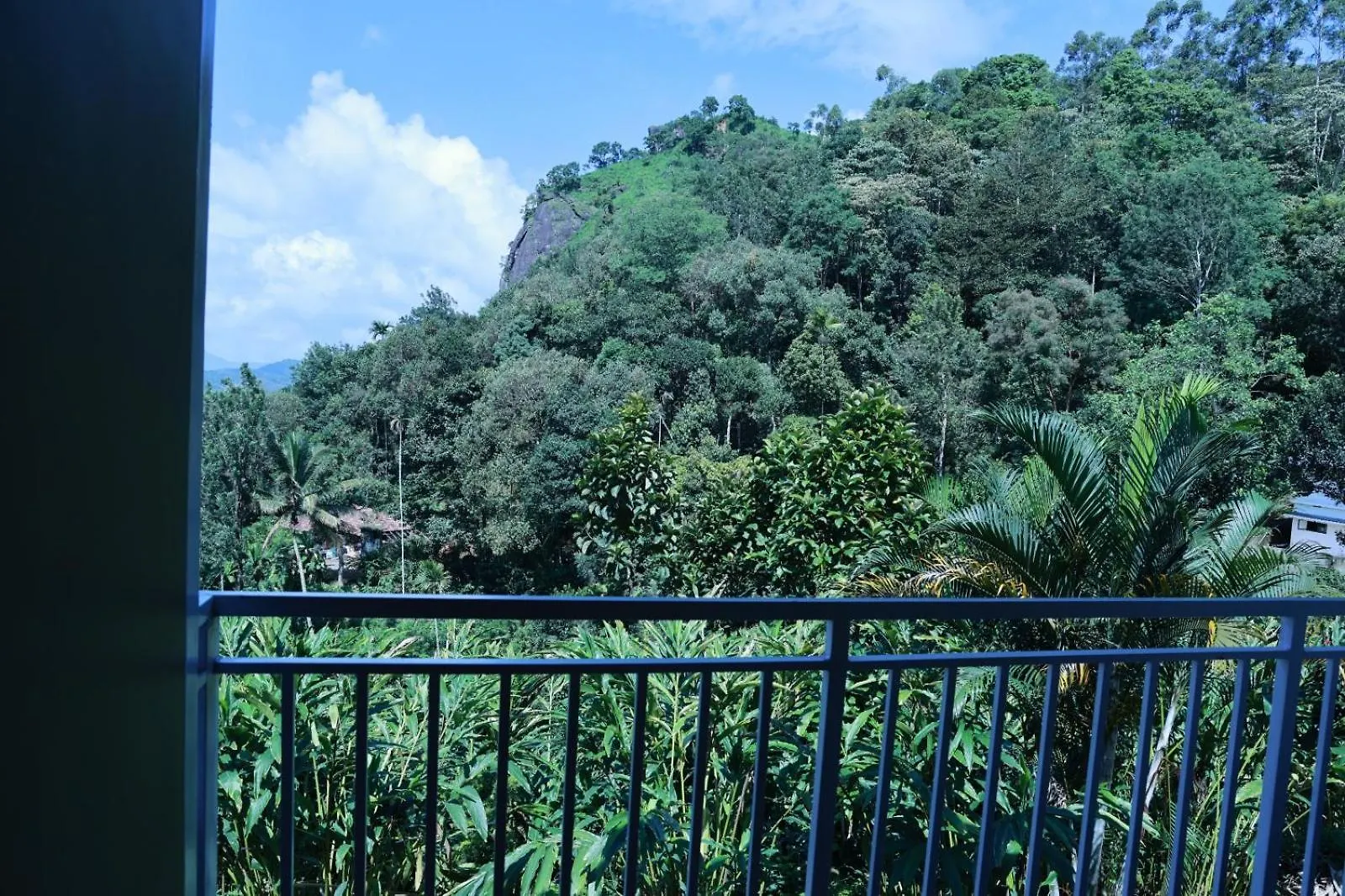 Villa Nest In Mist Inn Munnar India